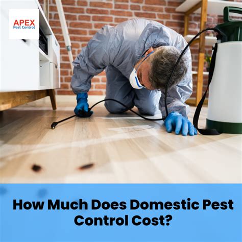 How much should pest control cost. Things To Know About How much should pest control cost. 